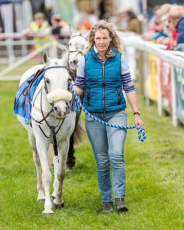 Novice Riders 148cm Race -  Grafton Pony Races 15th May 2017