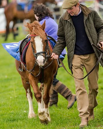 Novice Riders 148cm Race -  Grafton Pony Races 15th May 2017