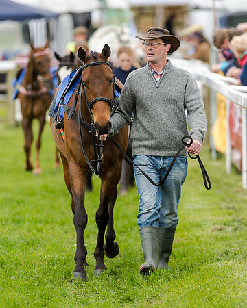 Novice Riders 148cm Race -  Grafton Pony Races 15th May 2017