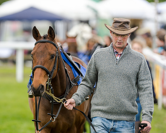 Novice Riders 148cm Race -  Grafton Pony Races 15th May 2017