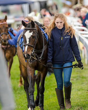 Novice Riders 148cm Race -  Grafton Pony Races 15th May 2017
