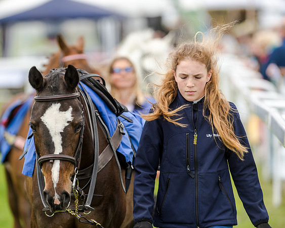 Novice Riders 148cm Race -  Grafton Pony Races 15th May 2017