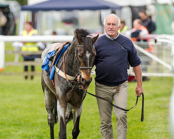Novice Riders 148cm Race -  Grafton Pony Races 15th May 2017