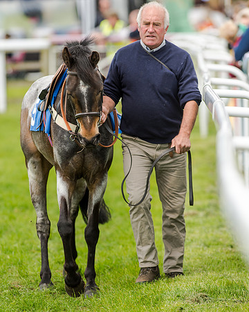 Novice Riders 148cm Race -  Grafton Pony Races 15th May 2017