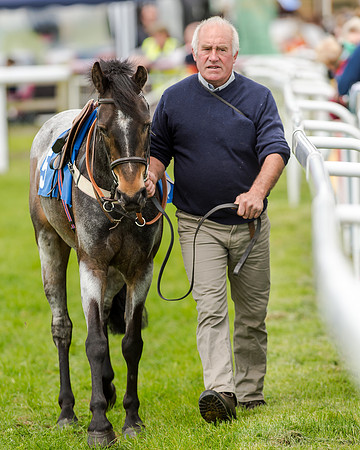 Novice Riders 148cm Race -  Grafton Pony Races 15th May 2017