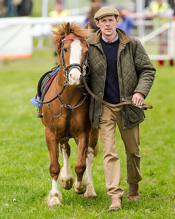 Novice Riders 148cm Race -  Grafton Pony Races 15th May 2017