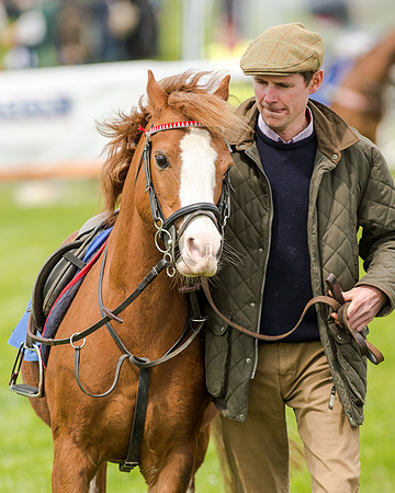Novice Riders 148cm Race -  Grafton Pony Races 15th May 2017