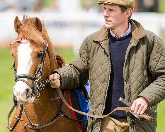 Novice Riders 148cm Race -  Grafton Pony Races 15th May 2017