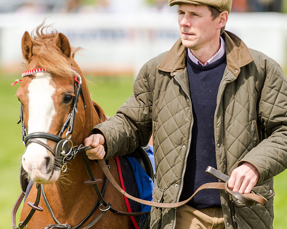 Novice Riders 148cm Race -  Grafton Pony Races 15th May 2017
