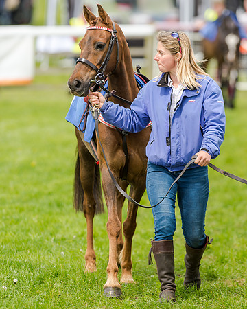 Novice Riders 148cm Race -  Grafton Pony Races 15th May 2017