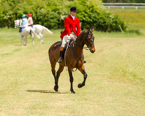 Novice Riders 148cm Race -  Grafton Pony Races 15th May 2017