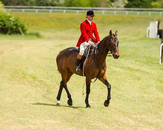 Novice Riders 148cm Race -  Grafton Pony Races 15th May 2017