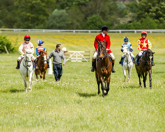 Novice Riders 148cm Race -  Grafton Pony Races 15th May 2017