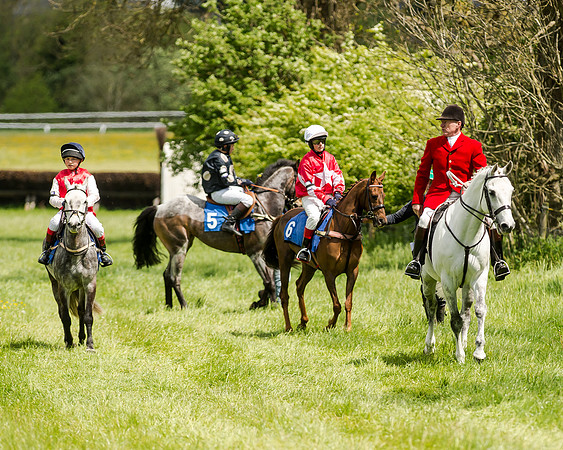 Novice Riders 148cm Race -  Grafton Pony Races 15th May 2017