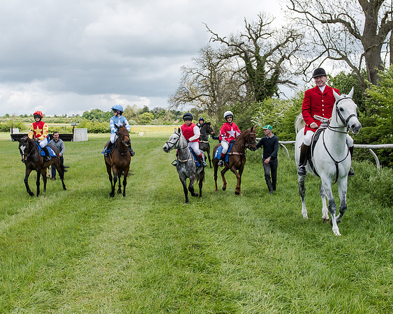 Novice Riders 148cm Race -  Grafton Pony Races 15th May 2017