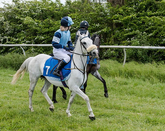 Novice Riders 148cm Race -  Grafton Pony Races 15th May 2017