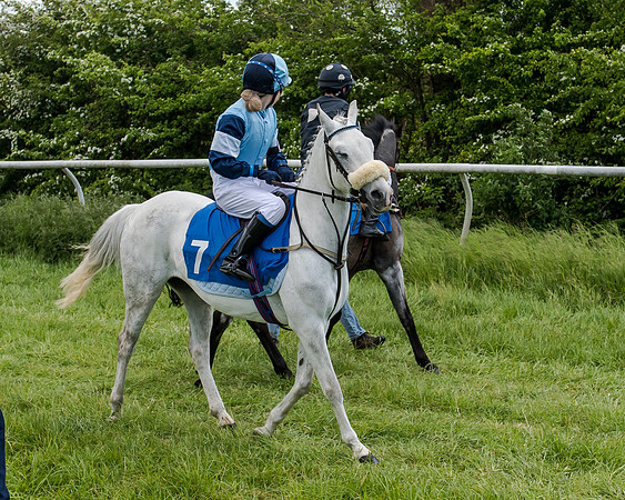 Novice Riders 148cm Race -  Grafton Pony Races 15th May 2017