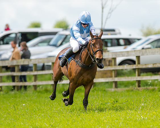 Novice Riders 148cm Race -  Grafton Pony Races 15th May 2017