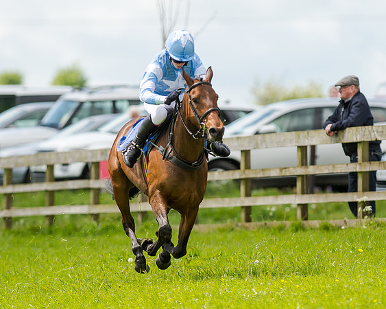 Novice Riders 148cm Race -  Grafton Pony Races 15th May 2017