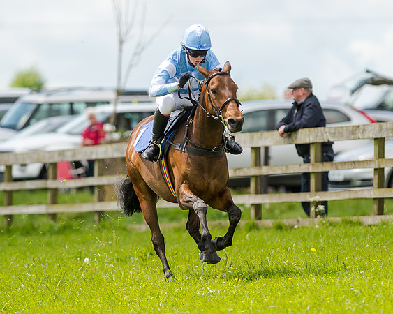 Novice Riders 148cm Race -  Grafton Pony Races 15th May 2017