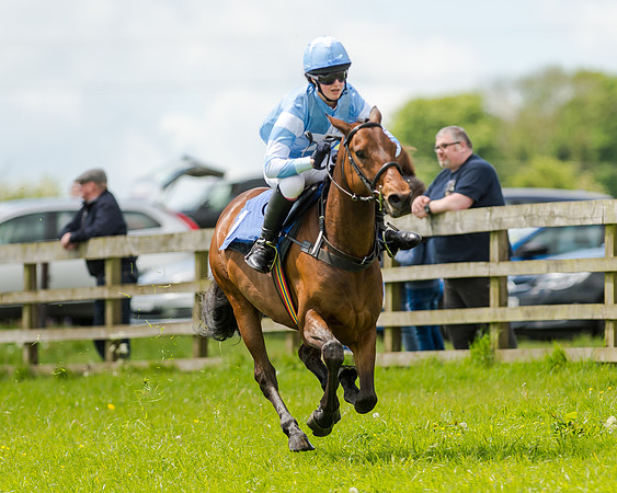 Novice Riders 148cm Race -  Grafton Pony Races 15th May 2017