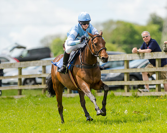 Novice Riders 148cm Race -  Grafton Pony Races 15th May 2017