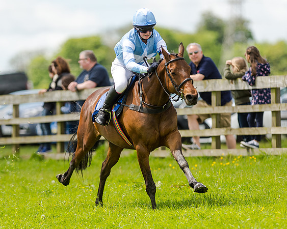 Novice Riders 148cm Race -  Grafton Pony Races 15th May 2017
