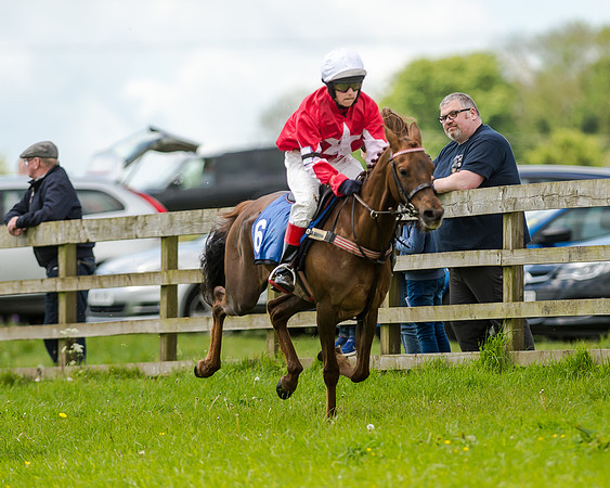 Novice Riders 148cm Race -  Grafton Pony Races 15th May 2017