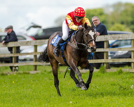 Novice Riders 148cm Race -  Grafton Pony Races 15th May 2017