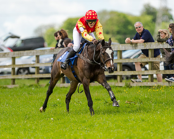 Novice Riders 148cm Race -  Grafton Pony Races 15th May 2017