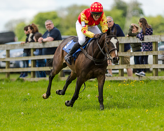 Novice Riders 148cm Race -  Grafton Pony Races 15th May 2017