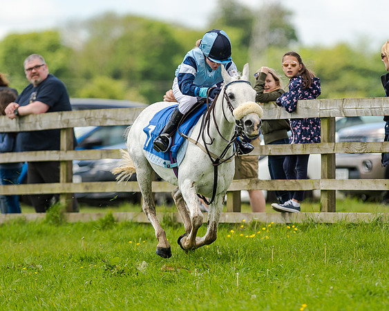 Novice Riders 148cm Race -  Grafton Pony Races 15th May 2017