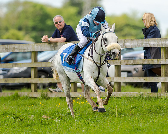 Novice Riders 148cm Race -  Grafton Pony Races 15th May 2017
