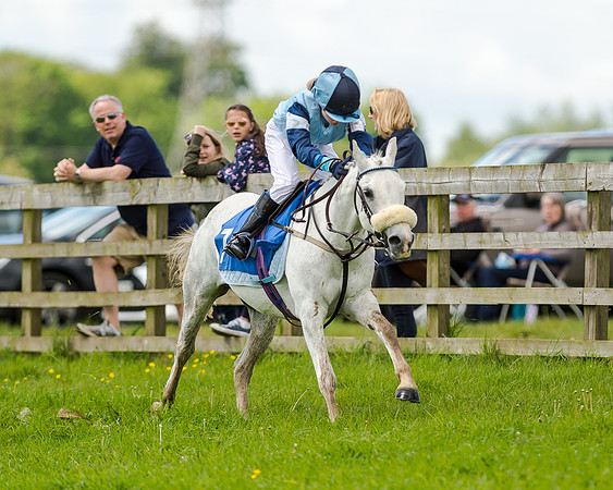 Novice Riders 148cm Race -  Grafton Pony Races 15th May 2017