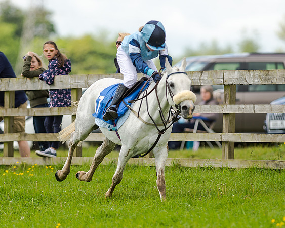Novice Riders 148cm Race -  Grafton Pony Races 15th May 2017