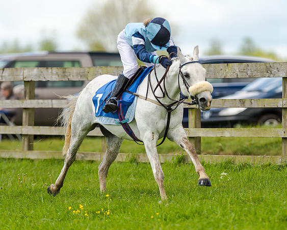 Novice Riders 148cm Race -  Grafton Pony Races 15th May 2017