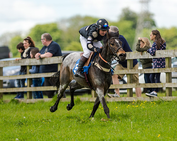 Novice Riders 148cm Race -  Grafton Pony Races 15th May 2017