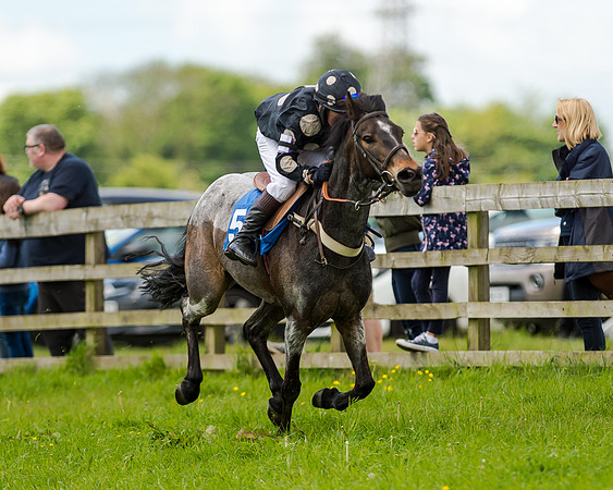 Novice Riders 148cm Race -  Grafton Pony Races 15th May 2017