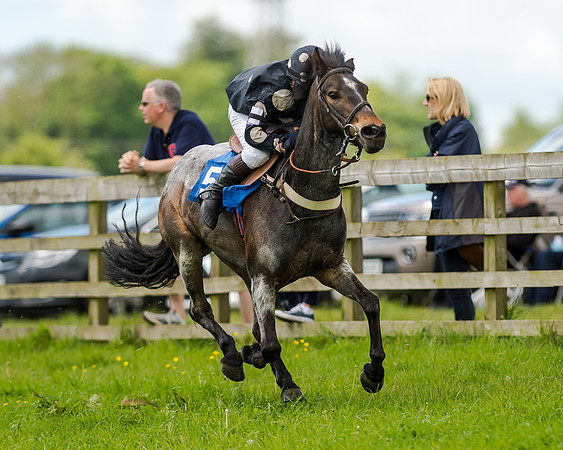 Novice Riders 148cm Race -  Grafton Pony Races 15th May 2017