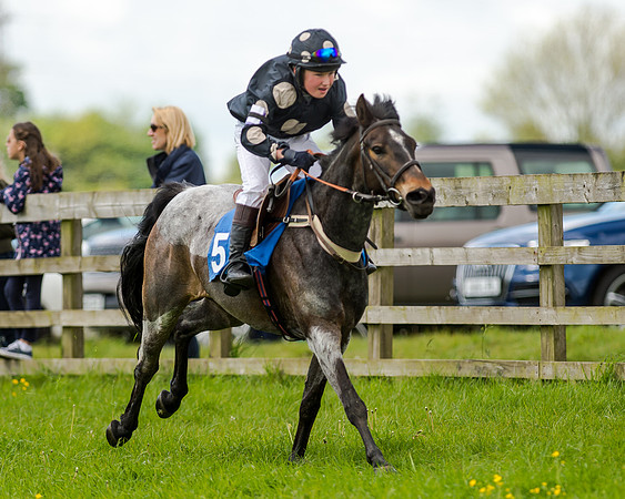 Novice Riders 148cm Race -  Grafton Pony Races 15th May 2017