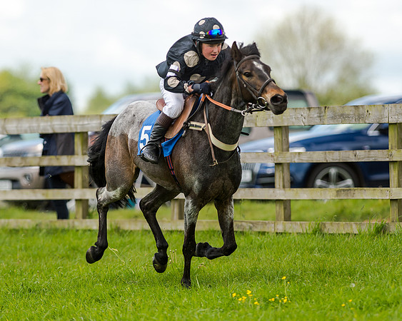 Novice Riders 148cm Race -  Grafton Pony Races 15th May 2017