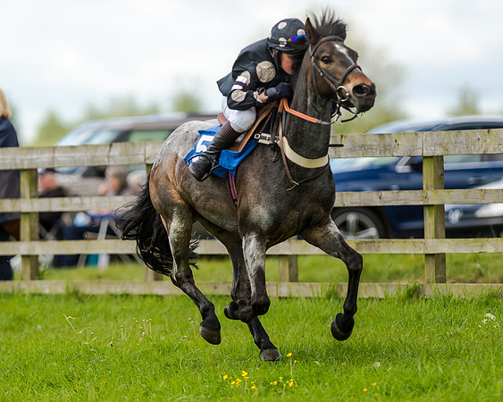 Novice Riders 148cm Race -  Grafton Pony Races 15th May 2017