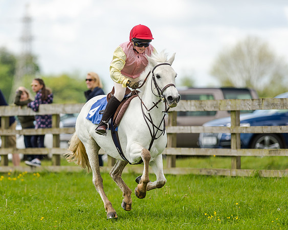 Novice Riders 148cm Race -  Grafton Pony Races 15th May 2017