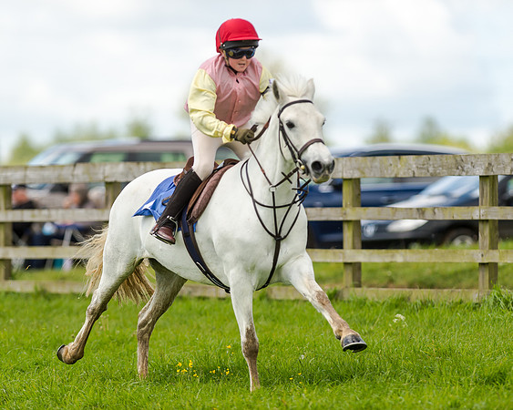 Novice Riders 148cm Race -  Grafton Pony Races 15th May 2017