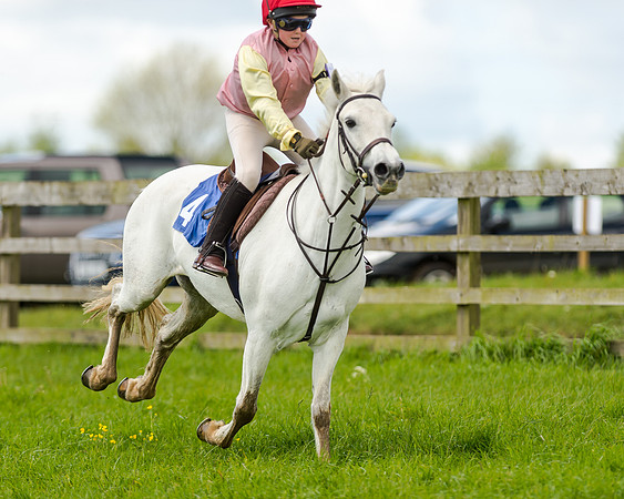 Novice Riders 148cm Race -  Grafton Pony Races 15th May 2017