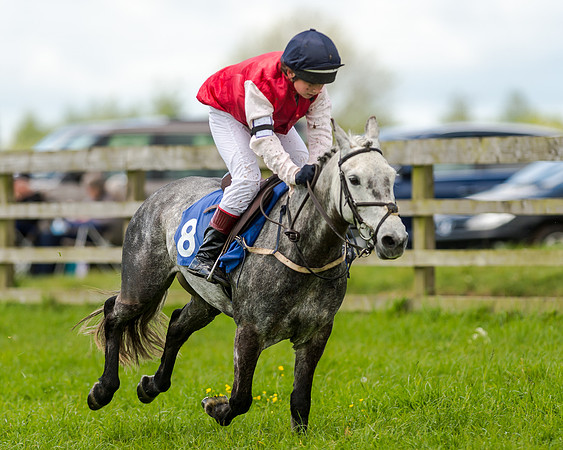 Novice Riders 148cm Race -  Grafton Pony Races 15th May 2017