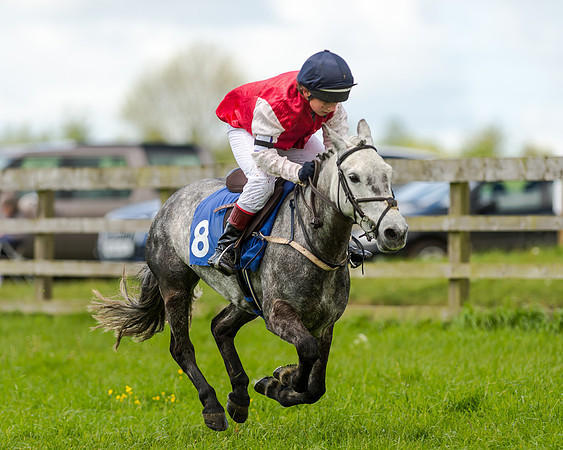 Novice Riders 148cm Race -  Grafton Pony Races 15th May 2017