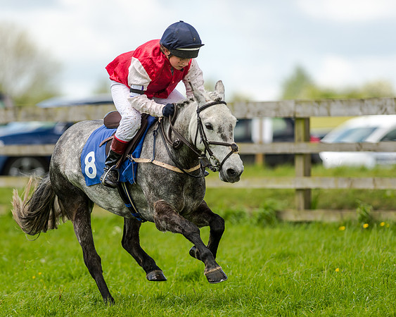 Novice Riders 148cm Race -  Grafton Pony Races 15th May 2017