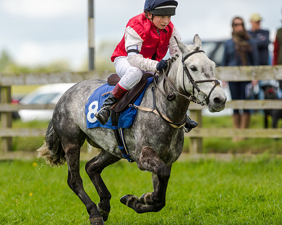 Novice Riders 148cm Race -  Grafton Pony Races 15th May 2017