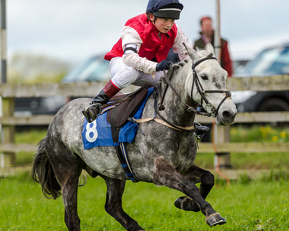 Novice Riders 148cm Race -  Grafton Pony Races 15th May 2017